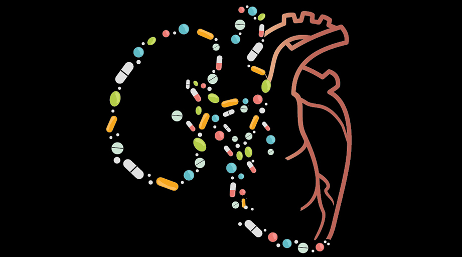 illustration of a heart and kidney outlined in pills