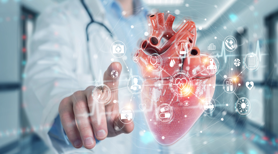 Cardiologist using digital x-ray of human heart holographic scan projection 3D rendering
