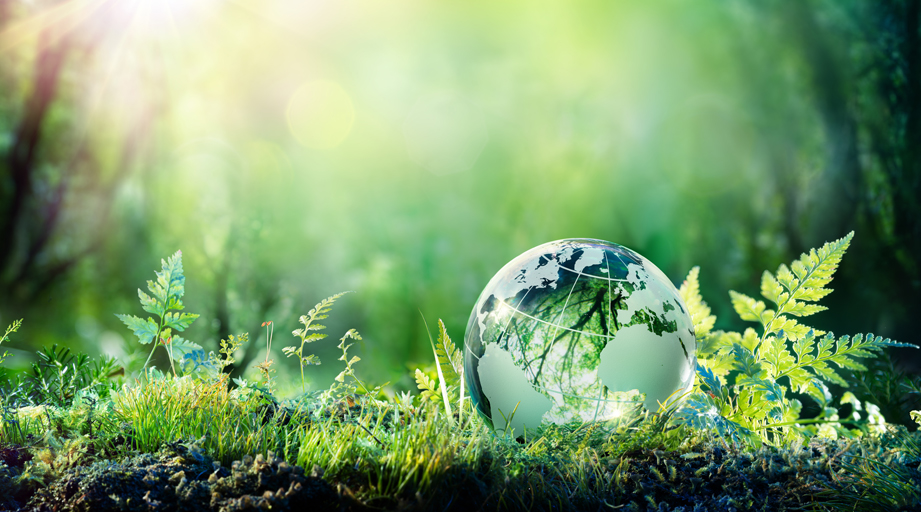 Pharmacists Help Drive Environmental Sustainability