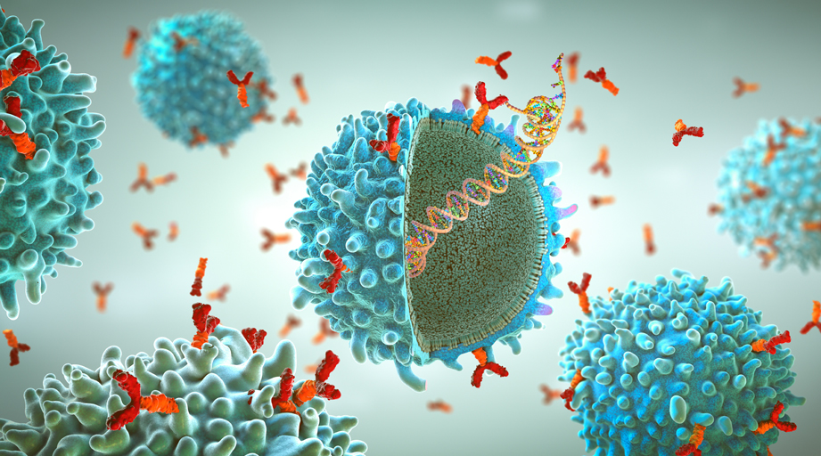 illustration of an antigen receptor immune cell